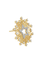 14K Altın Kaplama Starburst Yıldız Küpe 4