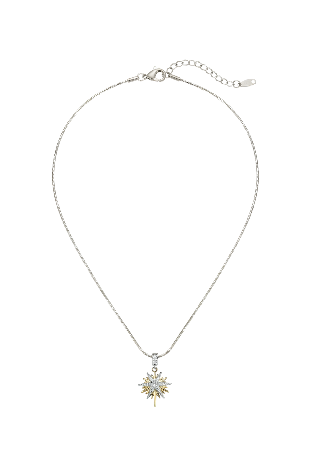 316L Çelik Gümüş Zincirli Gold Detaylı Kuzey Yıldızı Kolye 1