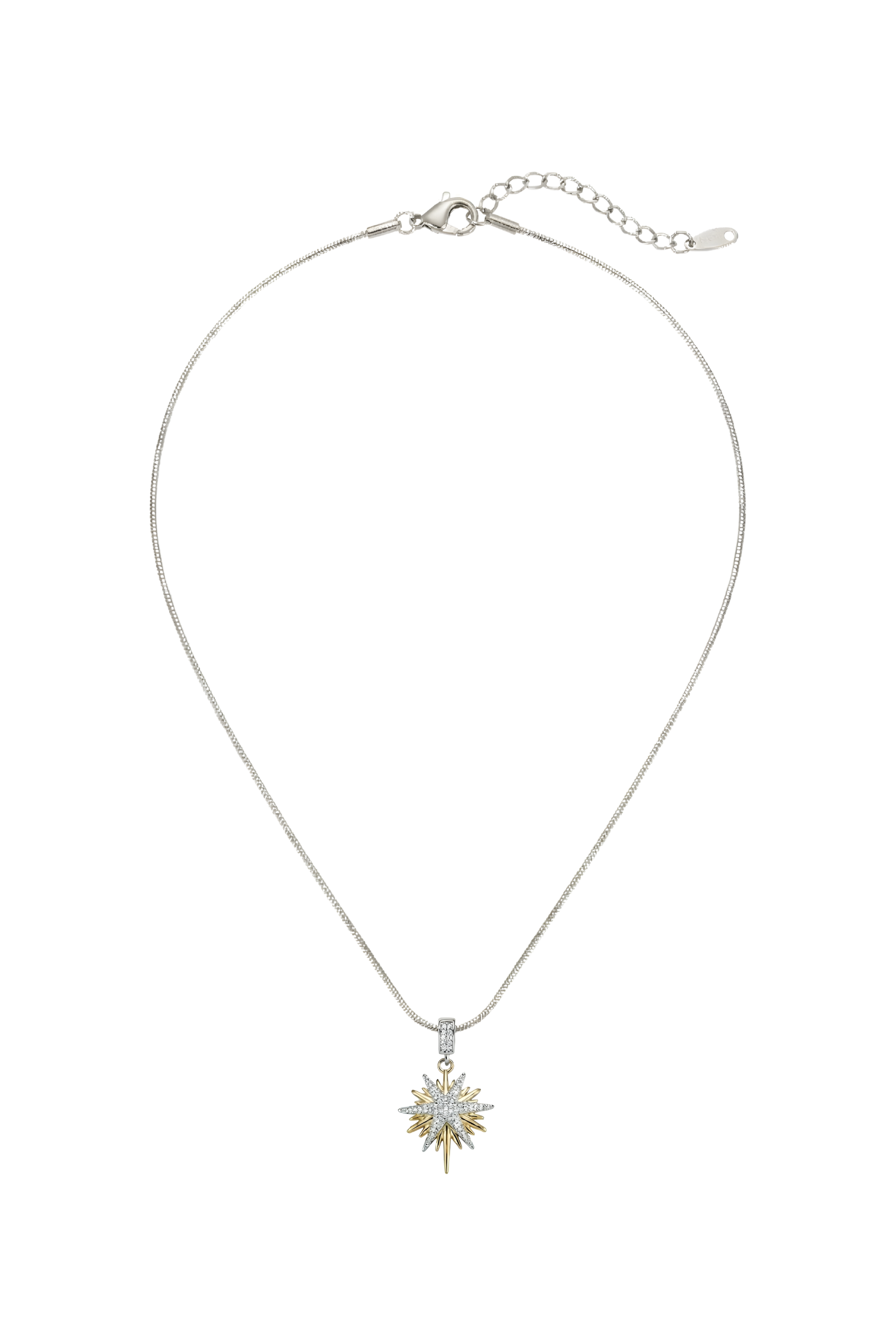 316L Çelik Gümüş Zincirli Gold Detaylı Kuzey Yıldızı Kolye 1